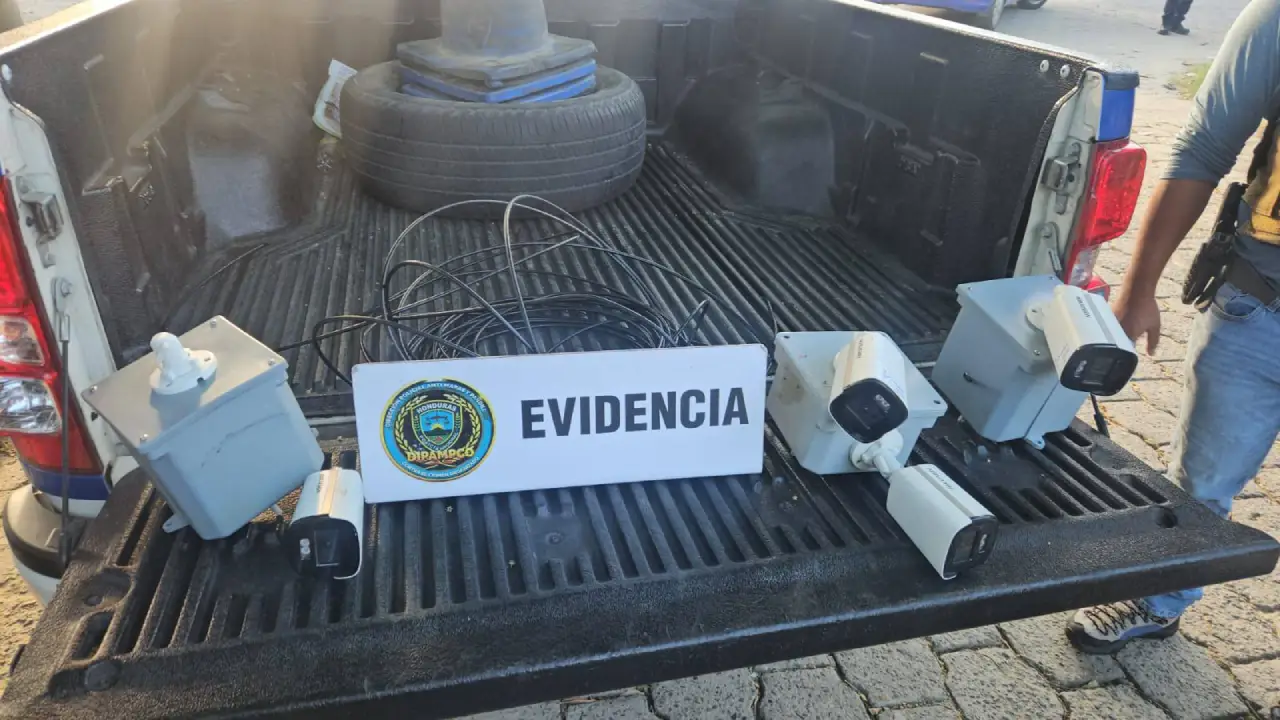 cámaras vigilancia criminales