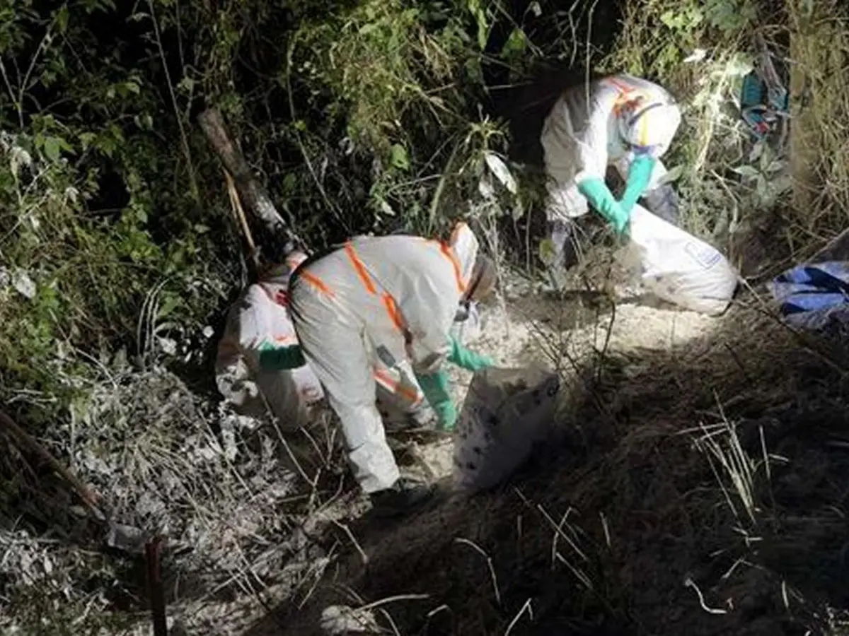 Cianuro derramado en el lugar del accidente.