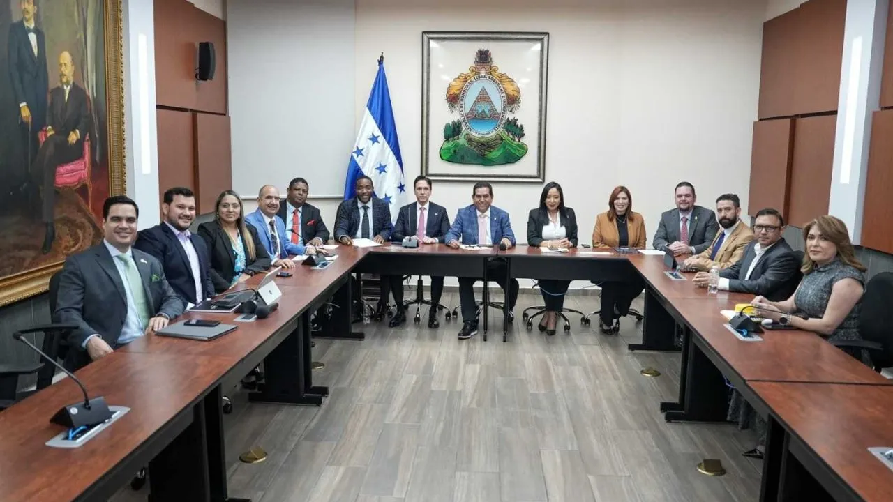 Comisión especial del Congreso Nacional.