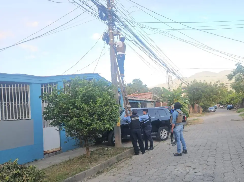 cámaras vigilancia criminales