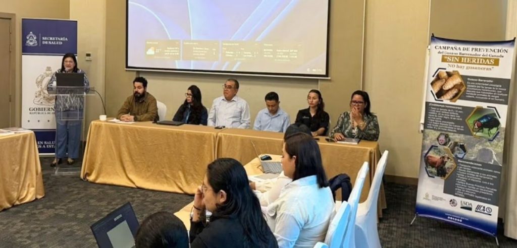 gusano barrenador uno