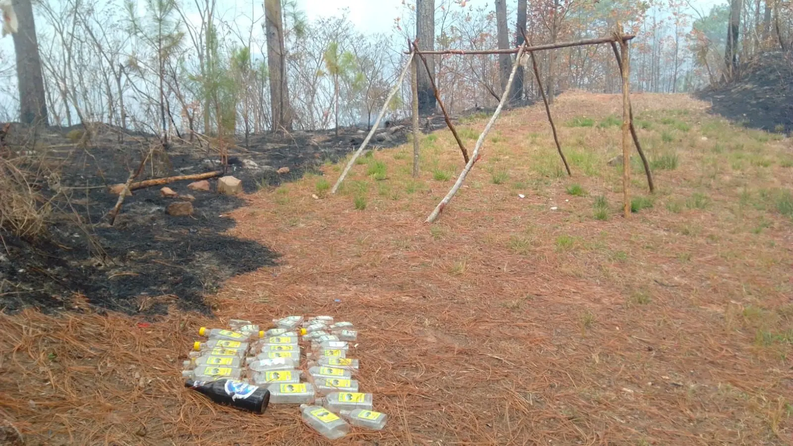 Botellas de aguardiente en medio del bosque