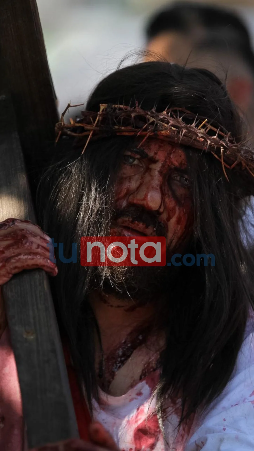 Imagen de Galería