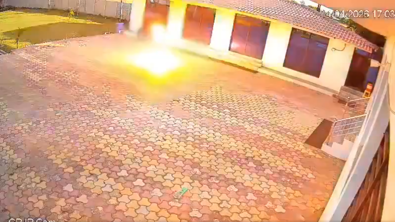 Cámara capta como empleado de hotel muere electrocutado al ahuyentar un mono