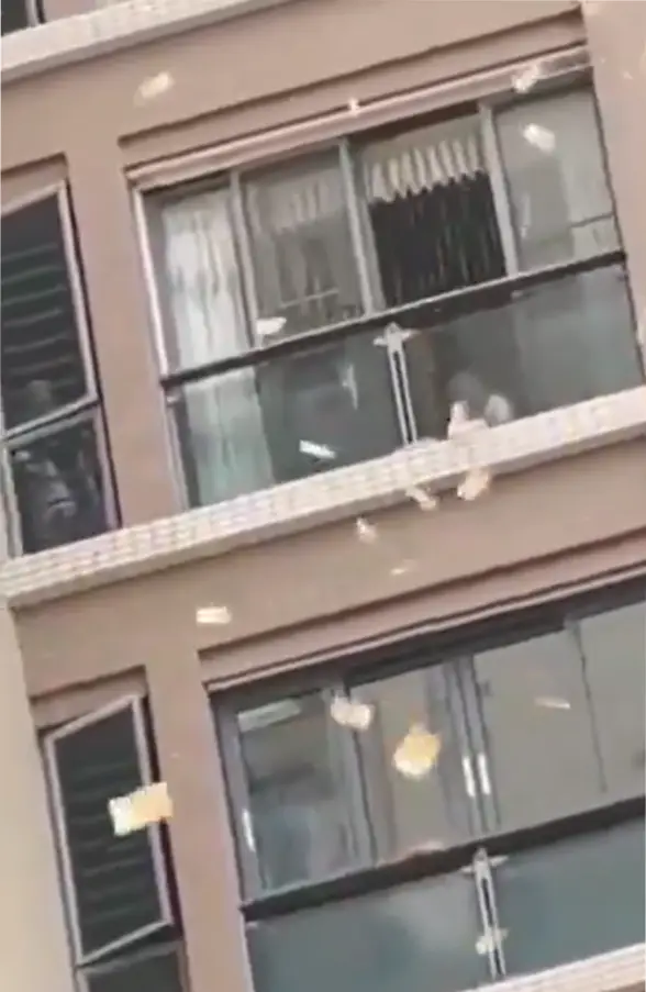 Foto de la mujer que lanza millones desde ventana