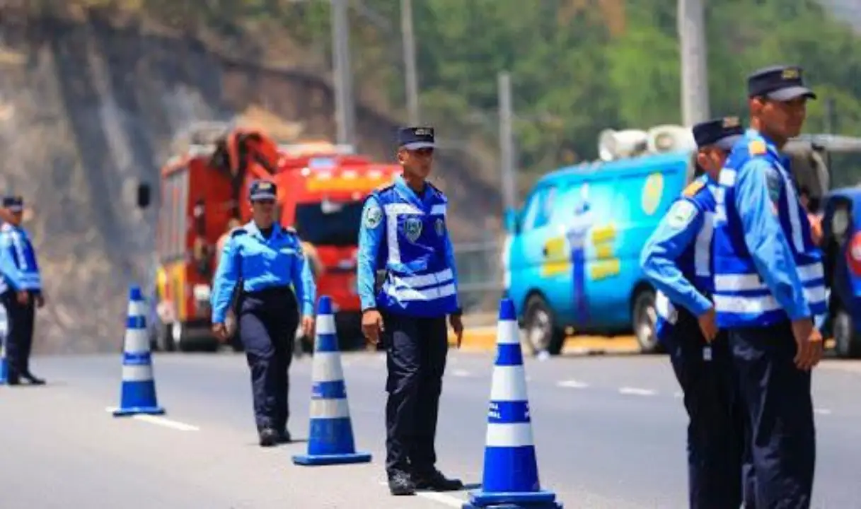 licencias decomisadas