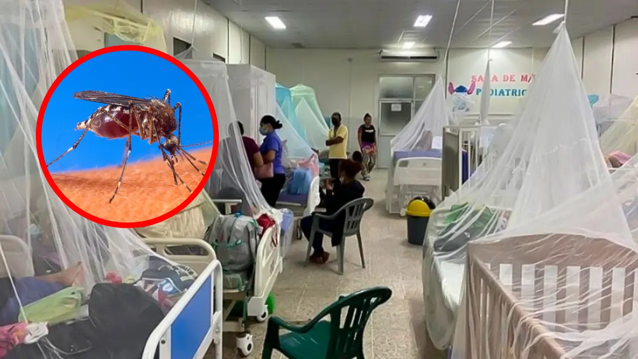 Imagen de Alarma en el sur de Honduras por incremento de casos de dengue