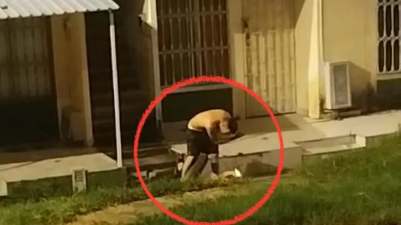 Imagen de Video: Hombre ataca a su esposa y golpea a mujer teniente en patrulla
