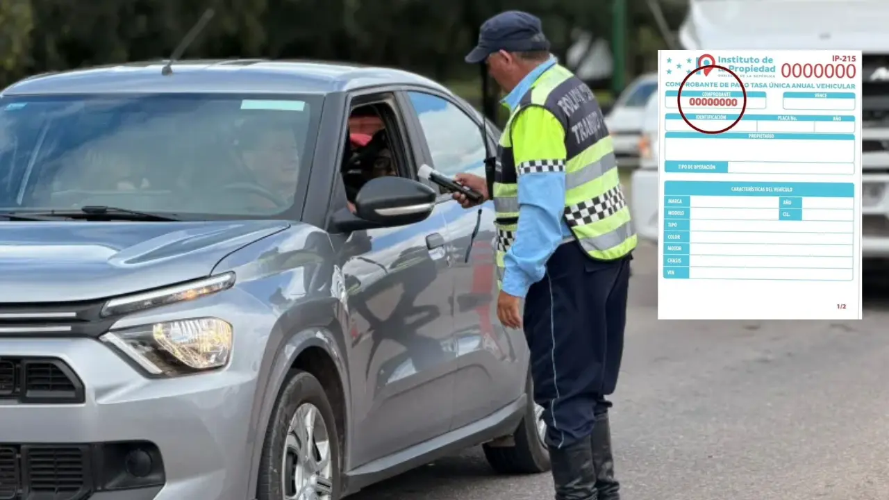 Imagen de IP habilita boleta de revisión vehicular en formato digital ¿Cómo obtenerla?