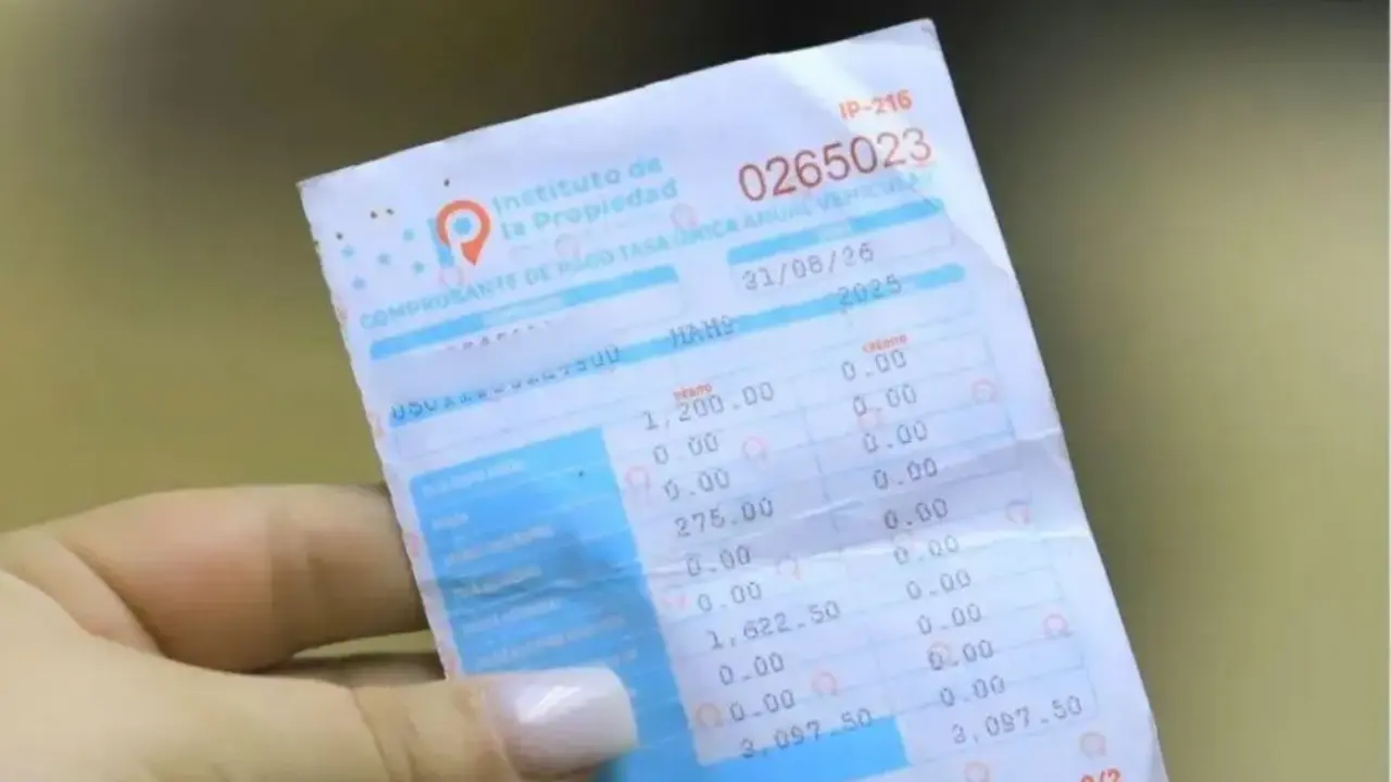 Imagen de IP confirma la disponibilidad de papel para boletas de revisión vehicular