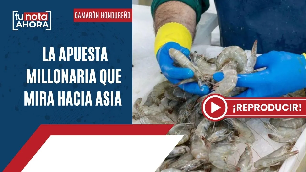 Imagen Principal de Nota: TuNota Ahora: BCIE defiende fondos, feriado y camaroneros apuestan a Asia