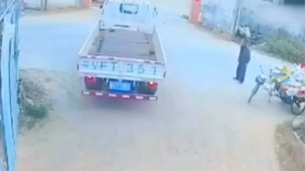 Imagen de Niño muere atropellado mientras adulto observa sin intervenir