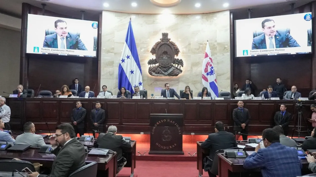 Imagen de Congreso Nacional nombra Comisión Nacional para evaluar postulantes al CNE y TJE