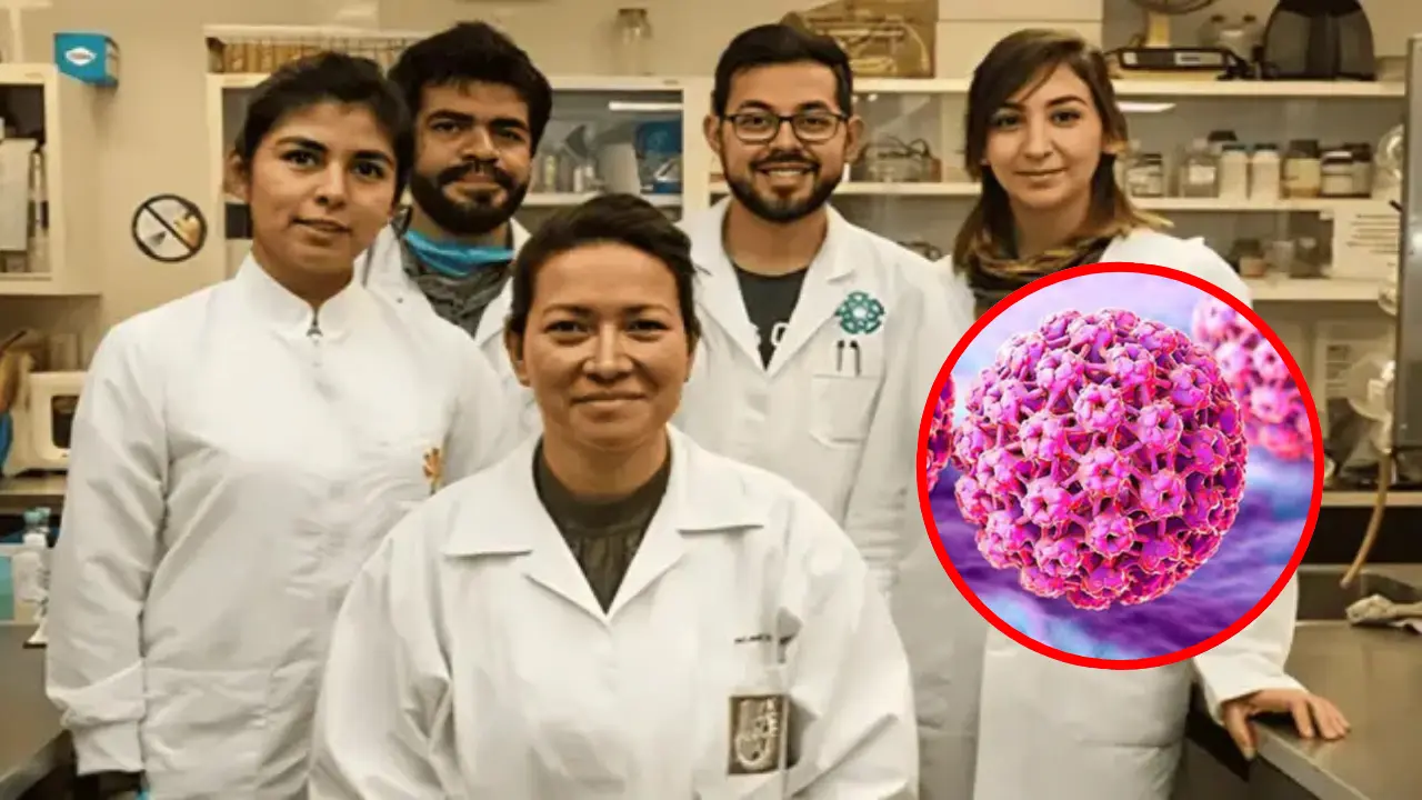 Imagen de Científica mexicana logra eliminar por completo el VPH con innovadora técnica