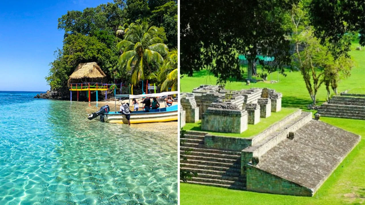 Imagen de El despertar del turismo: de la improvisación a la competitividad global