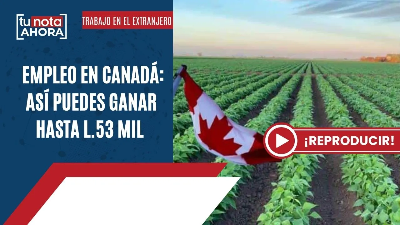 Imagen Principal de Nota: TuNota Ahora: Gasolina, trabajos en Canadá y alerta ambiental en Honduras