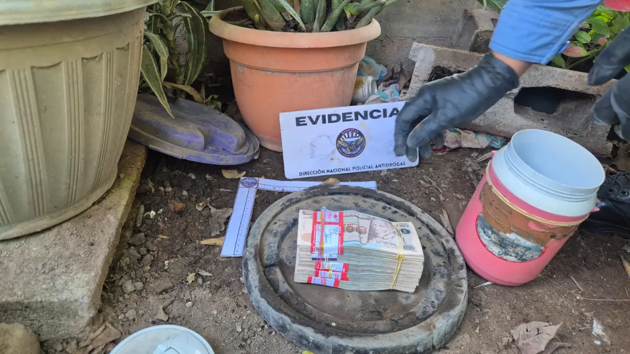 Imagen de Debajo de macetas encuentran dinero producto del lavado de activos en Ocotepeque