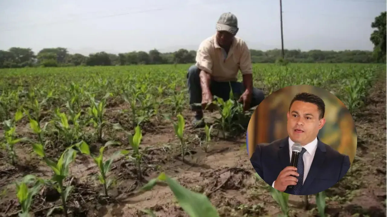 Imagen de Copeco: 'El Niño' no representa motivo de alarma, pero hay que prepararse