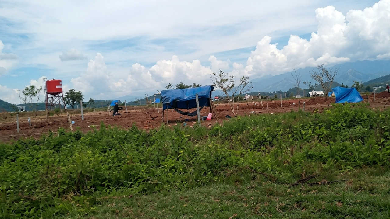 Imagen de Golpe a las invasiones: MP activa investigación por 12 denuncias en Cortés