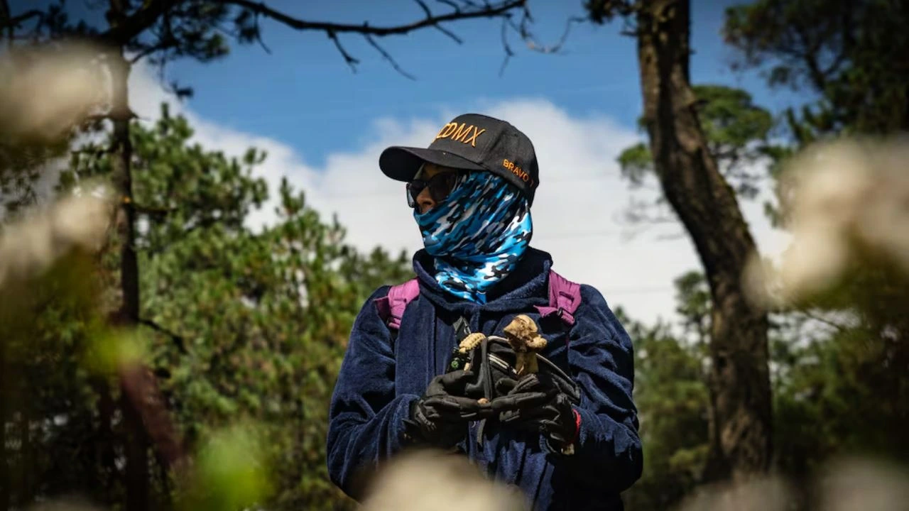 Desaparecidos en Jalisco: al menos 14 hondureños en la lista Imagen de Desaparecidos en Jalisco: al menos 14 hondureños en la lista