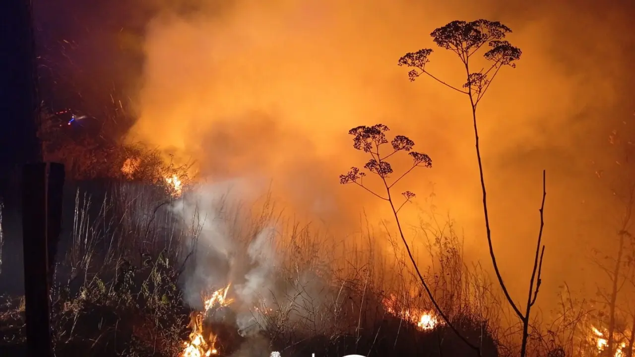 Imagen de Incendio forestal consume hectáreas de bosque en La Montañita y amenaza viviendas