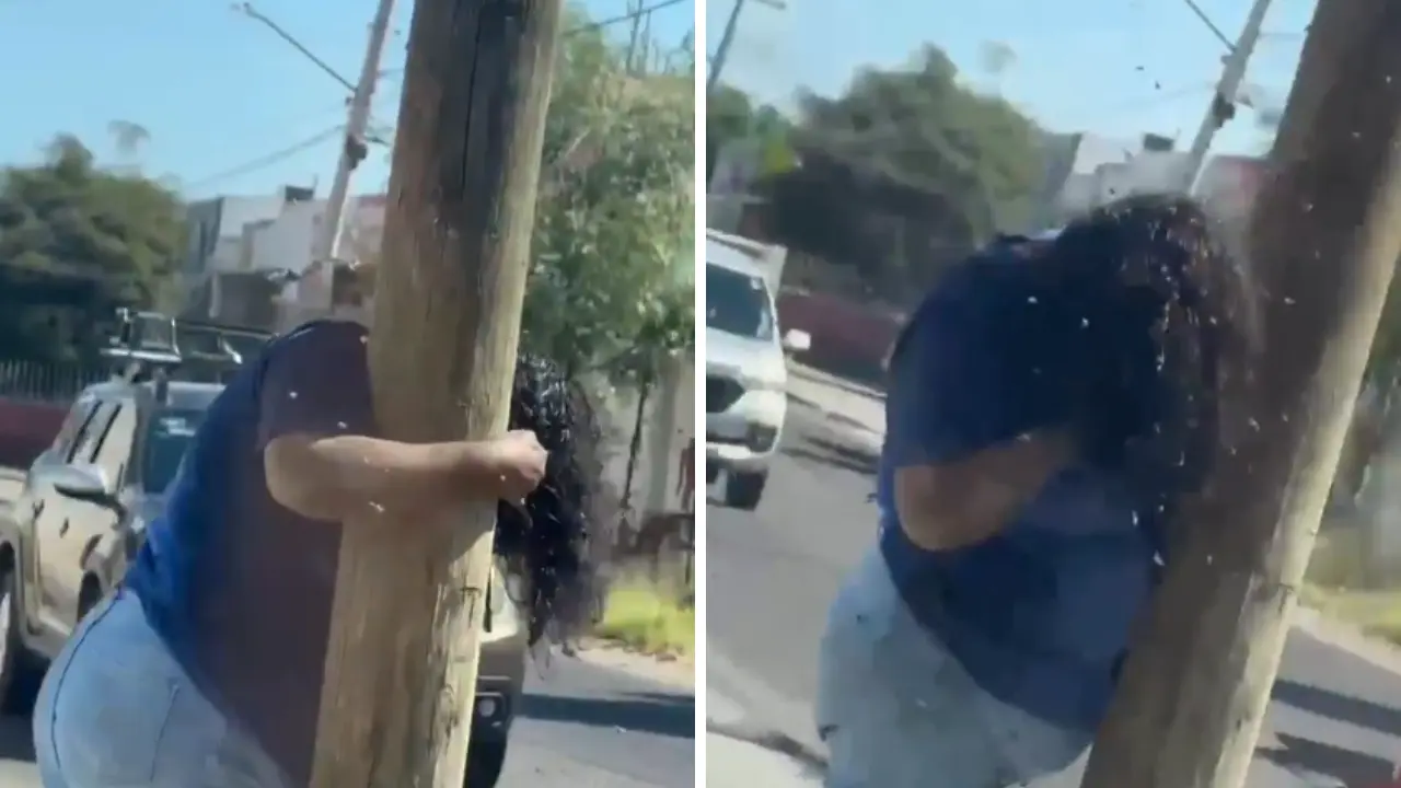 Imagen de VIDEO: Mujer es atacada por enjambre de más de 200 abejas