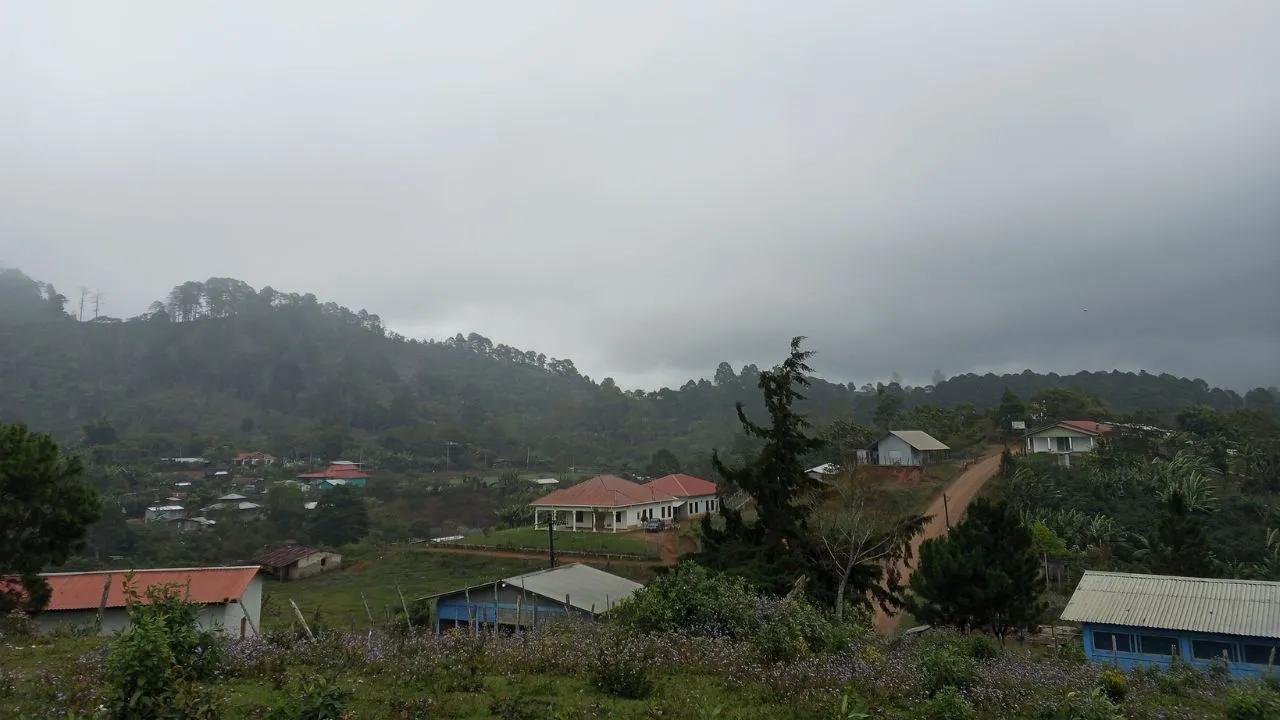 Imagen de No guarde el paraguas: prevén lluvias para algunas regiones de Honduras este domingo