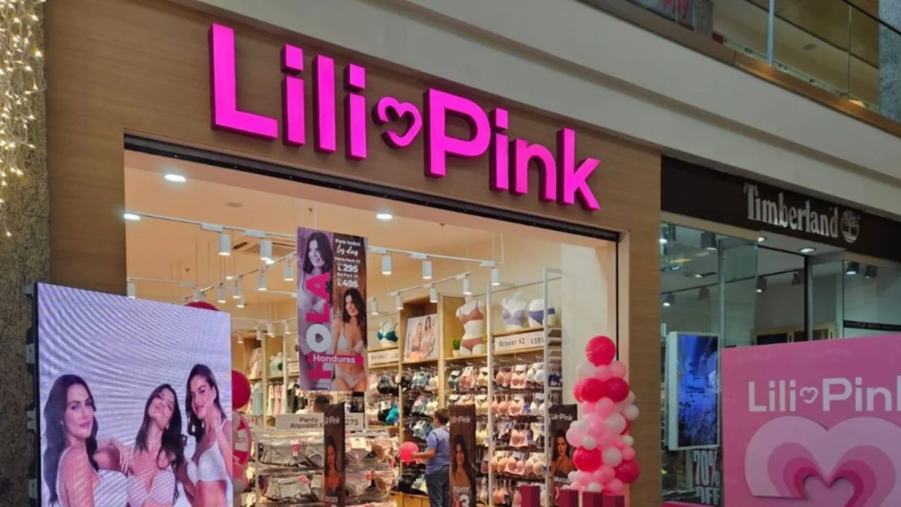 Imagen de ¿Quién es el dueño de Lili Pink? Perfil de Lili Brands, investigación y Wikipedia