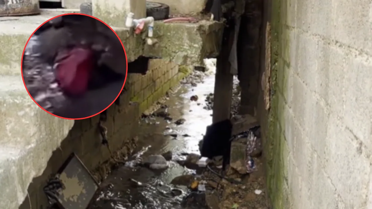 Imagen de Hallan a bebé sin vida en mochila: estaba bajo el cuidado de su abuela