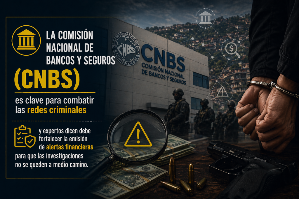 redes criminales dos