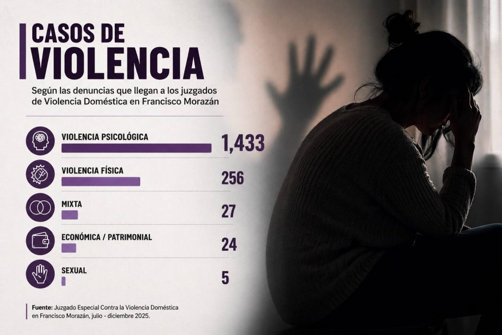 violencia doméstica dos