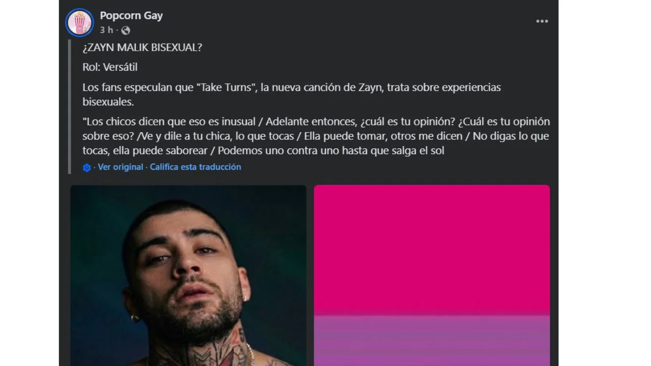 Zayn Malik es bisexual