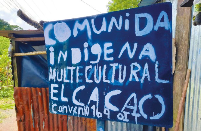 El cacao