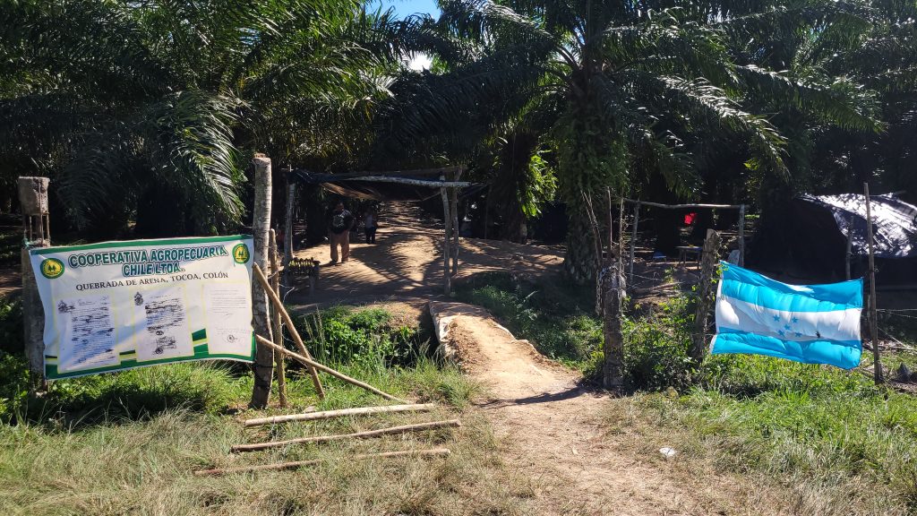 fincas de El Aguán
