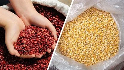 El viceministro Ricardo Peña destacó que el 80% del apoyo agrícola se destina a maíz y frijol.