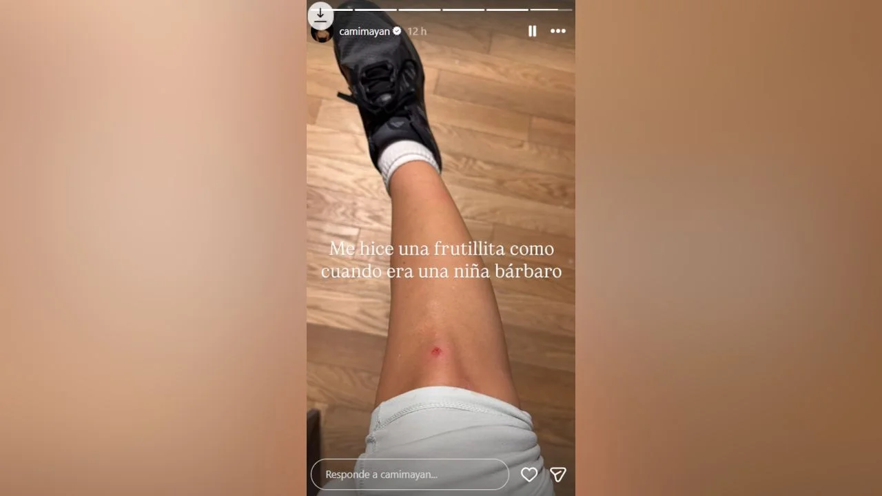 Historia de Instagram de Cami Mayan.