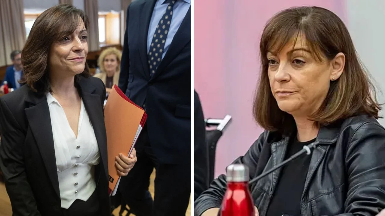 Collage de fotos de Ana María Fuentes,