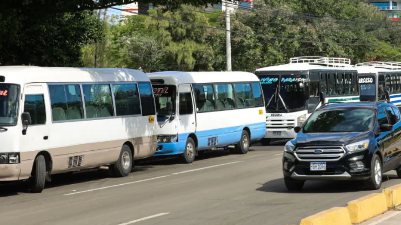 Buses y carros. Licencias