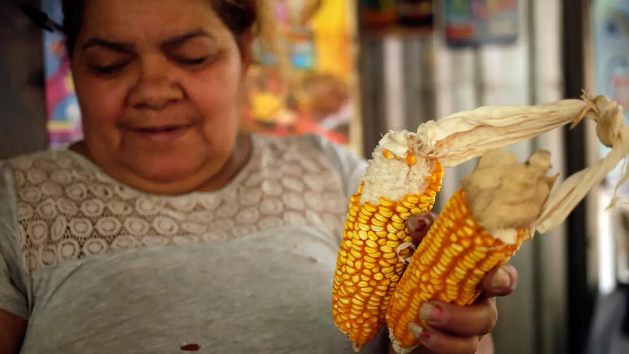 Una mujer sosteniendo mazorcas