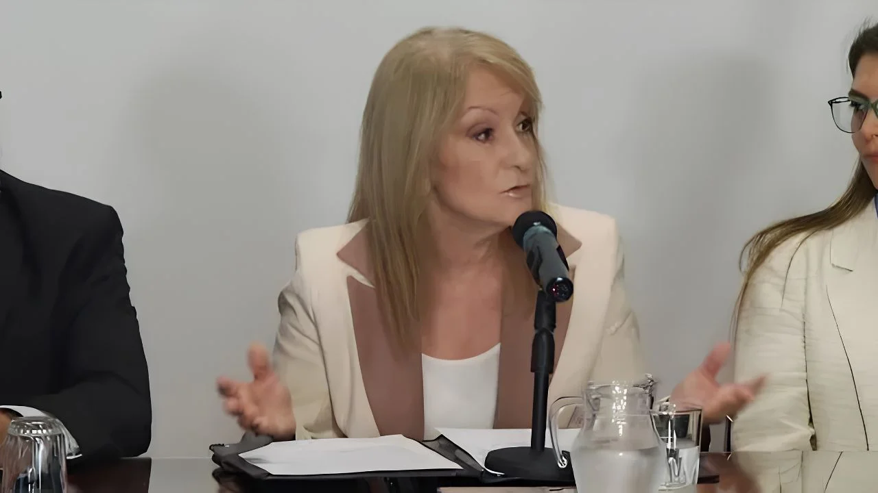 Carolina Cosse presenta proyecto en el Palacio Legislativo.