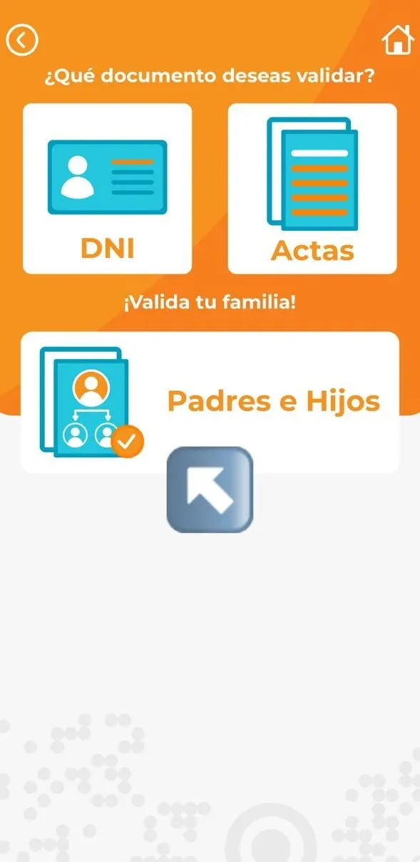 captura de pantalla RNP
