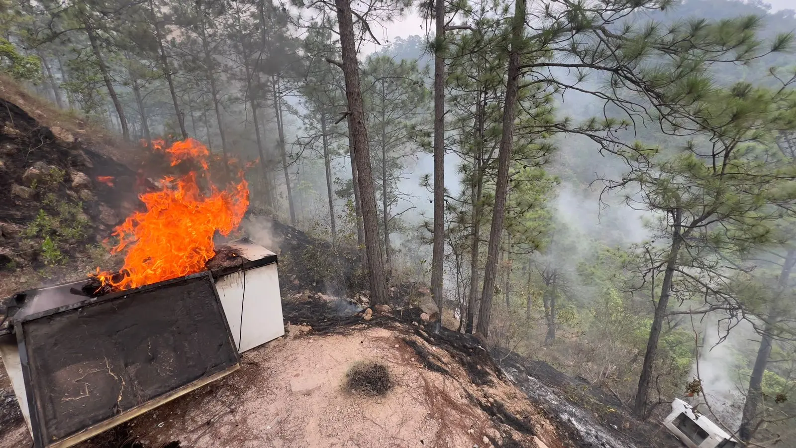 FREEZER INCENDIADO