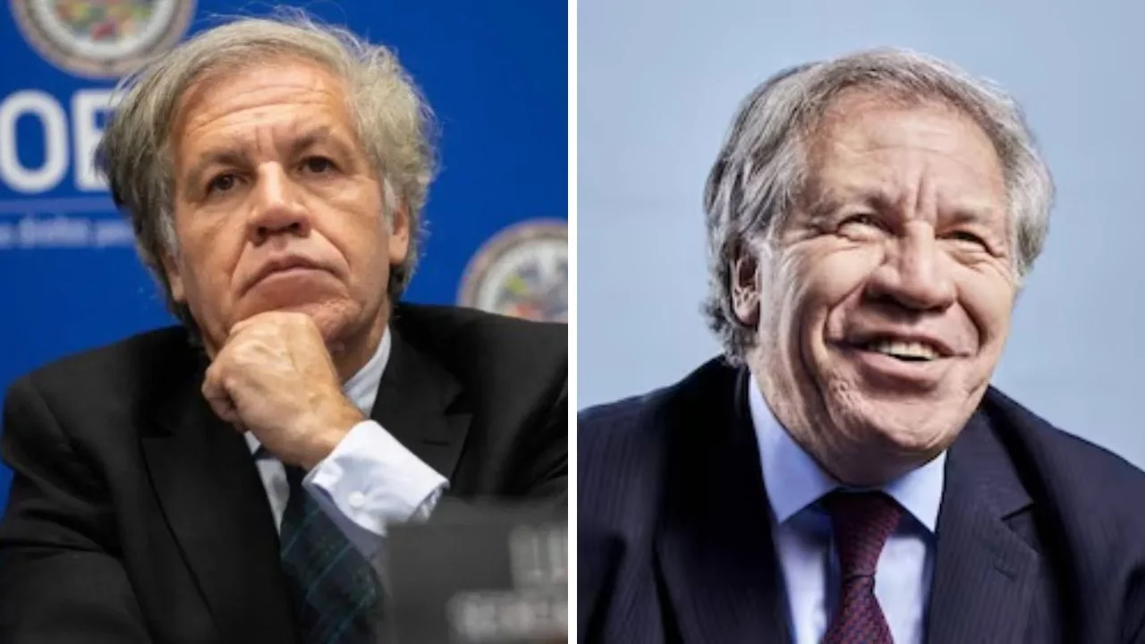 Collage de fotos de Luis ALmagro