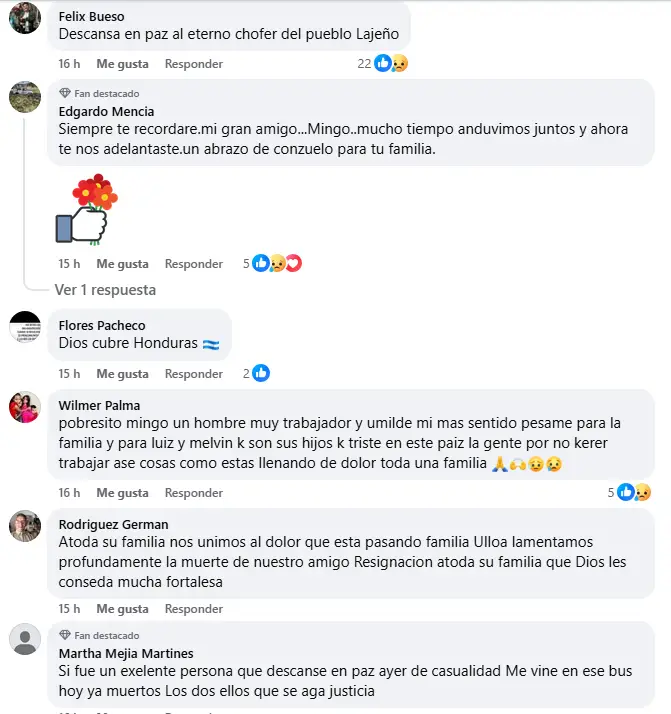 Comentarios de usuarios de Facebook lamentando la muerte de don Mingo 