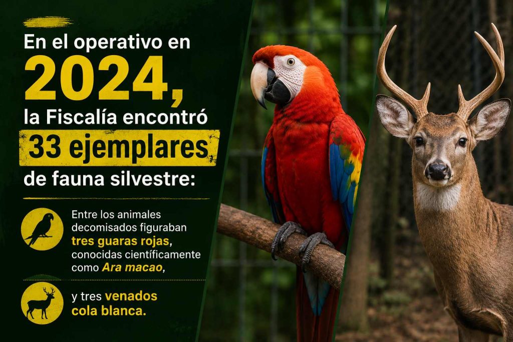 operativo