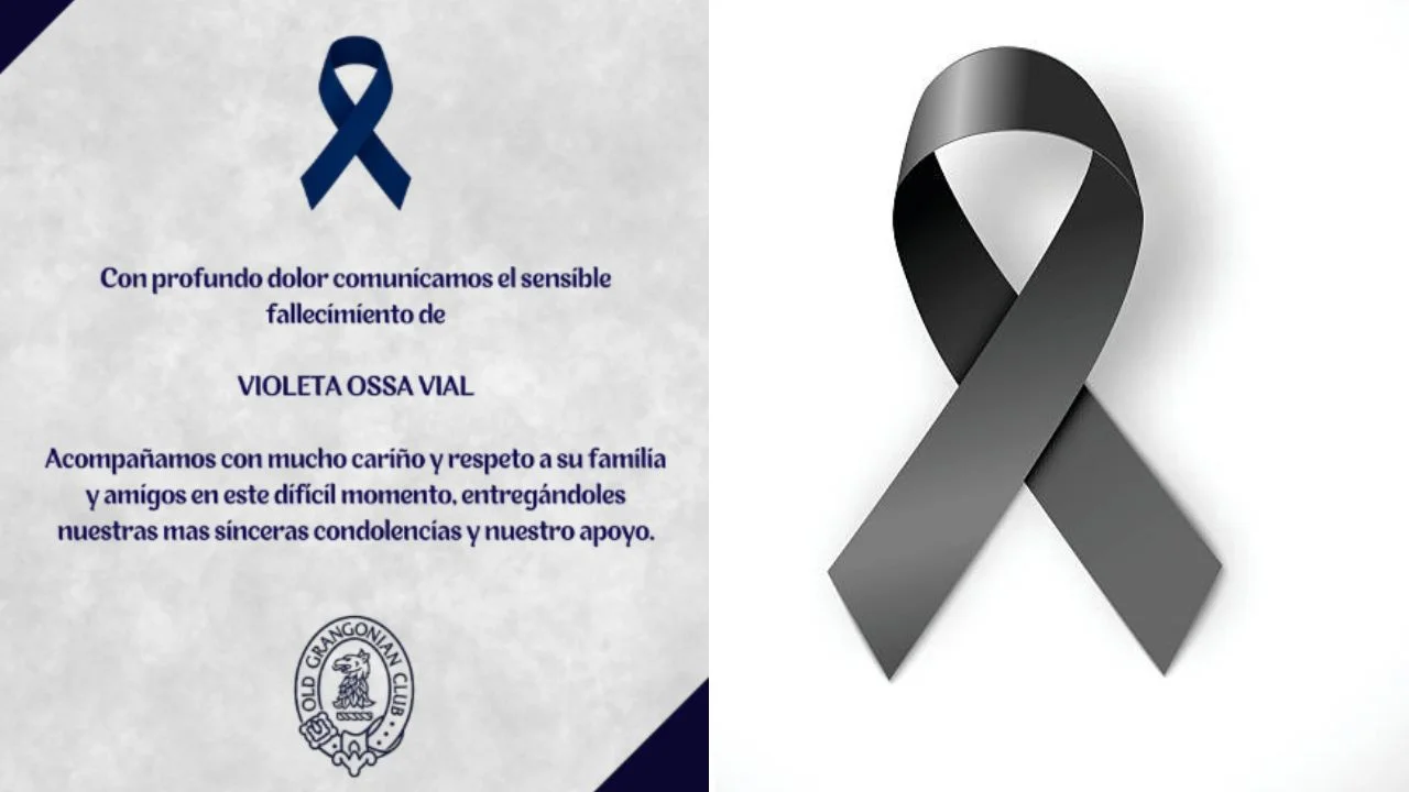 Imagen de ¿Qué le pasó a Violeta Ossa Vial? ¿Quién era y de qué murió?