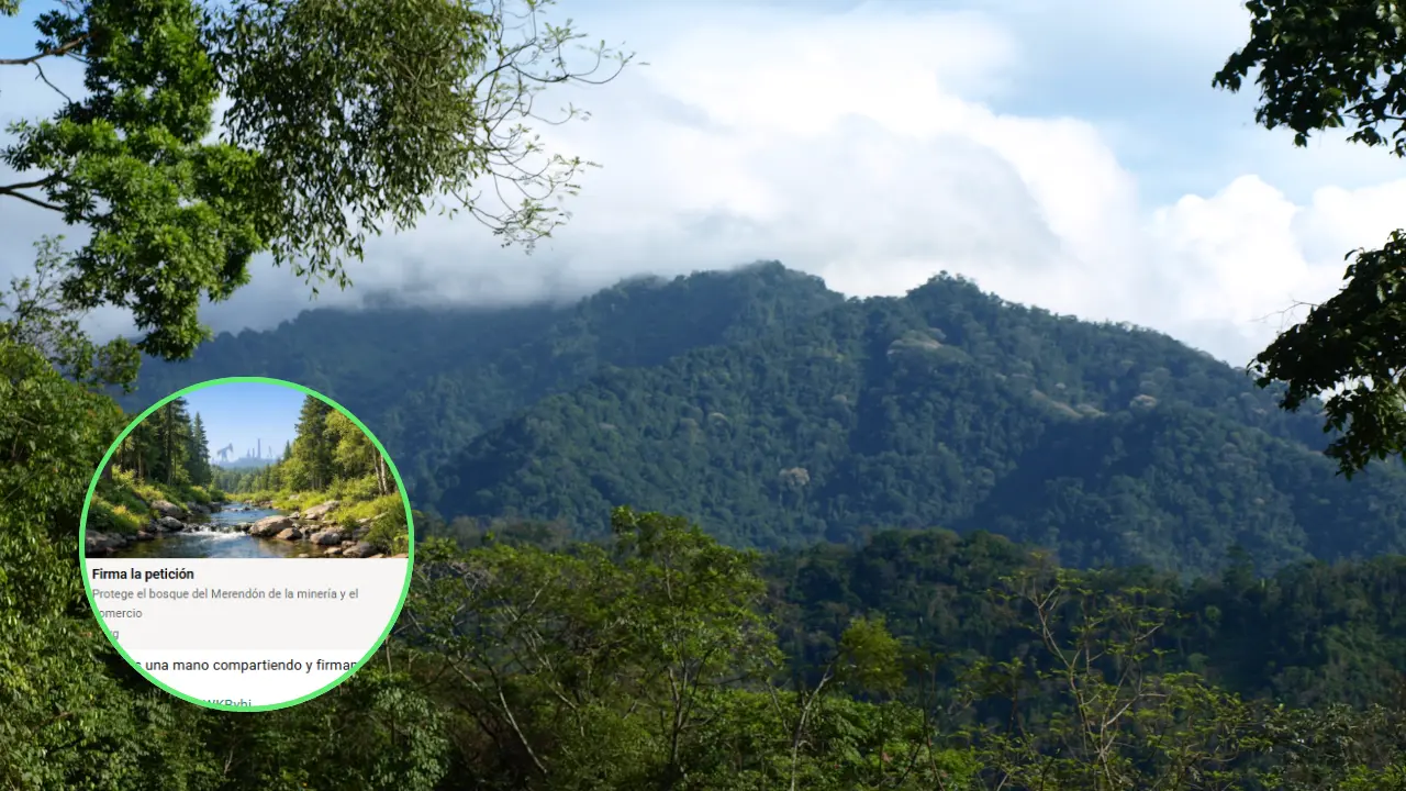 Así puedes apoyar a El Merendón para evitar que se convierta en parque nacional Imagen de Así puedes apoyar a El Merendón para evitar que se convierta en parque nacional