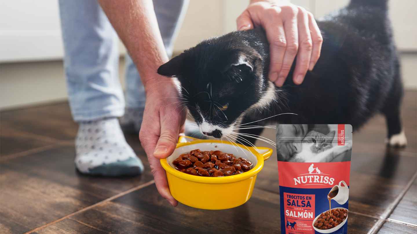 CMI fortalece su crecimiento en nutrición para mascotas a través de una alianza estratégica con Grupo Bios Imagen de CMI fortalece su crecimiento en nutrición para mascotas a través de una alianza estratégica con Grupo Bios