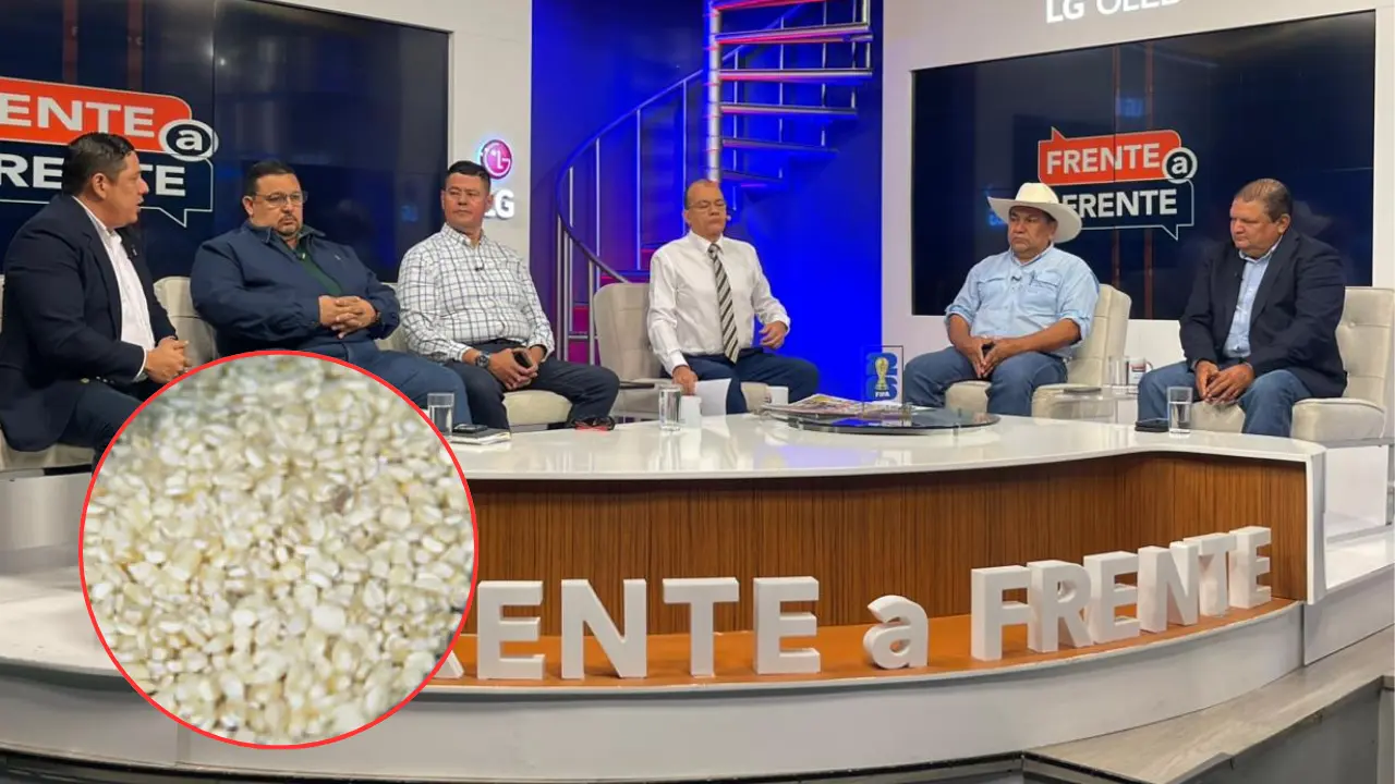 Imagen de Denuncian que el IHMA contrató a guardias en lugar de técnicos; exgerente lo niega