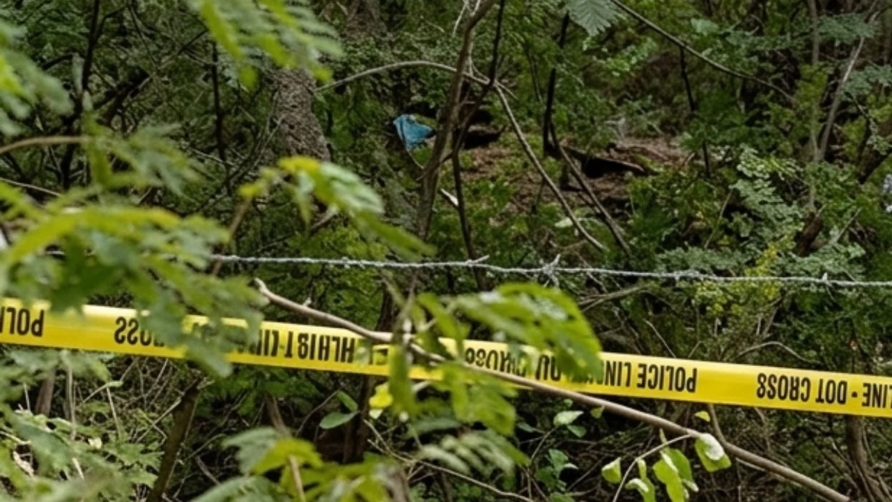 Hallan cadáver de un hombre desmembrado en zona de matorrales en Cortés Imagen de Hallan cadáver de un hombre desmembrado en zona de matorrales en Cortés
